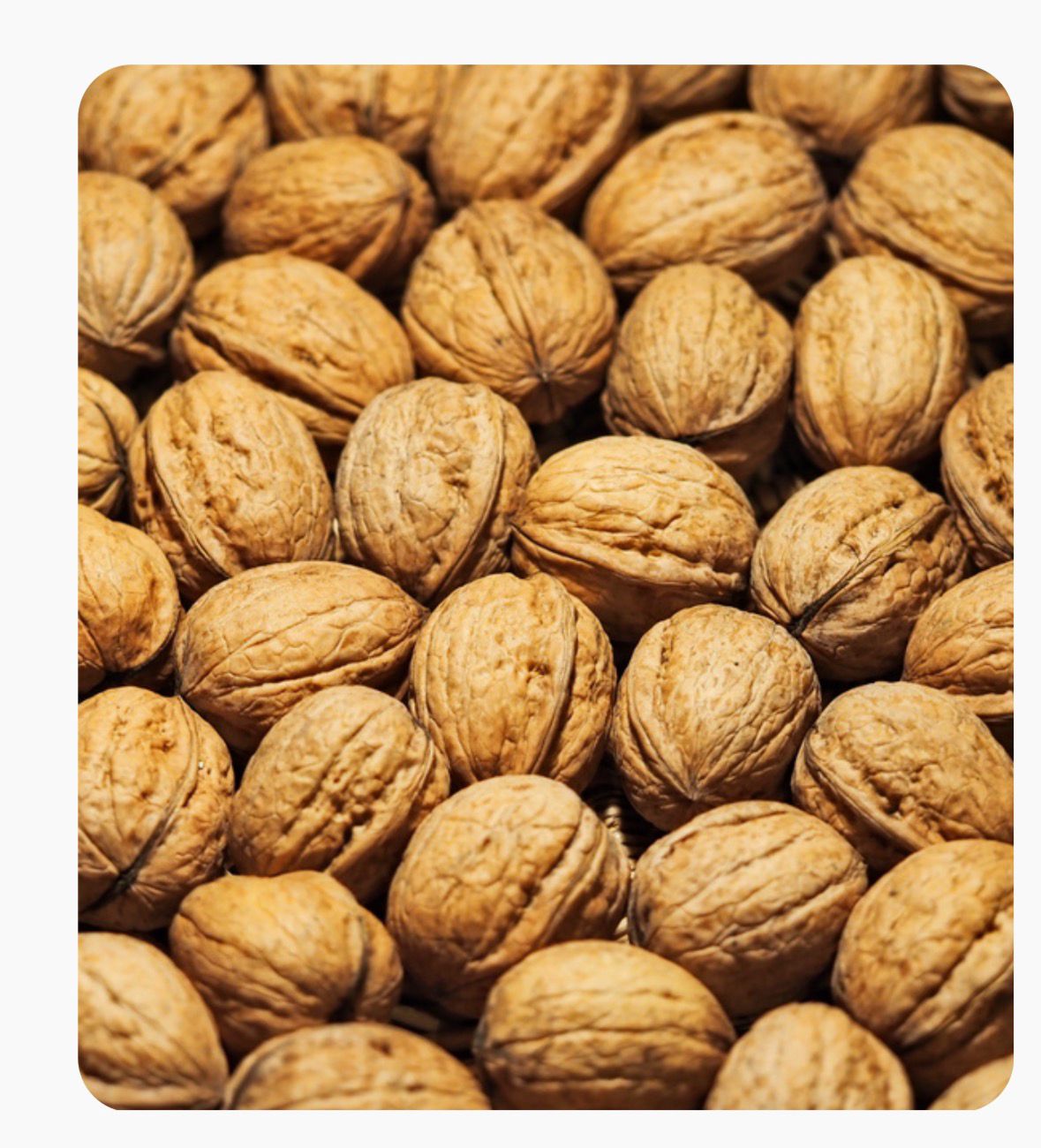 Whole walnuts from the Western Himalayas